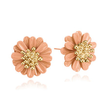 Load image into Gallery viewer, Jewelry Gold Earring Woman