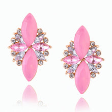 Load image into Gallery viewer, New Women Earring's