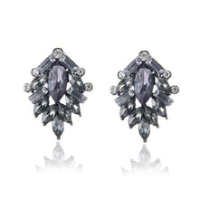 Load image into Gallery viewer, New Women Earring's